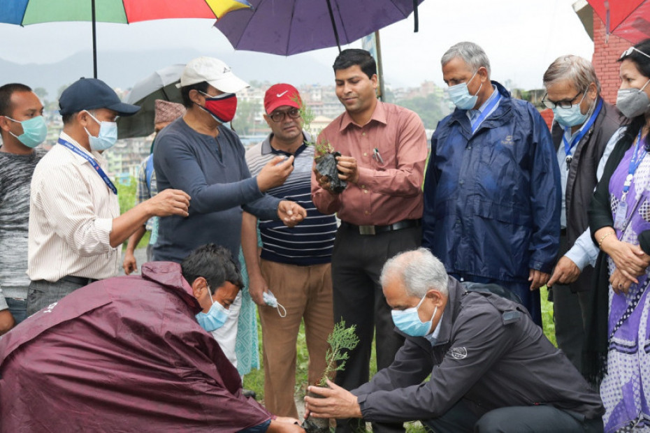 ग्लोबल आइएमई बैंक र त्रिभुवन विश्वविद्यालयको सहकार्यमा वृक्षारोपण