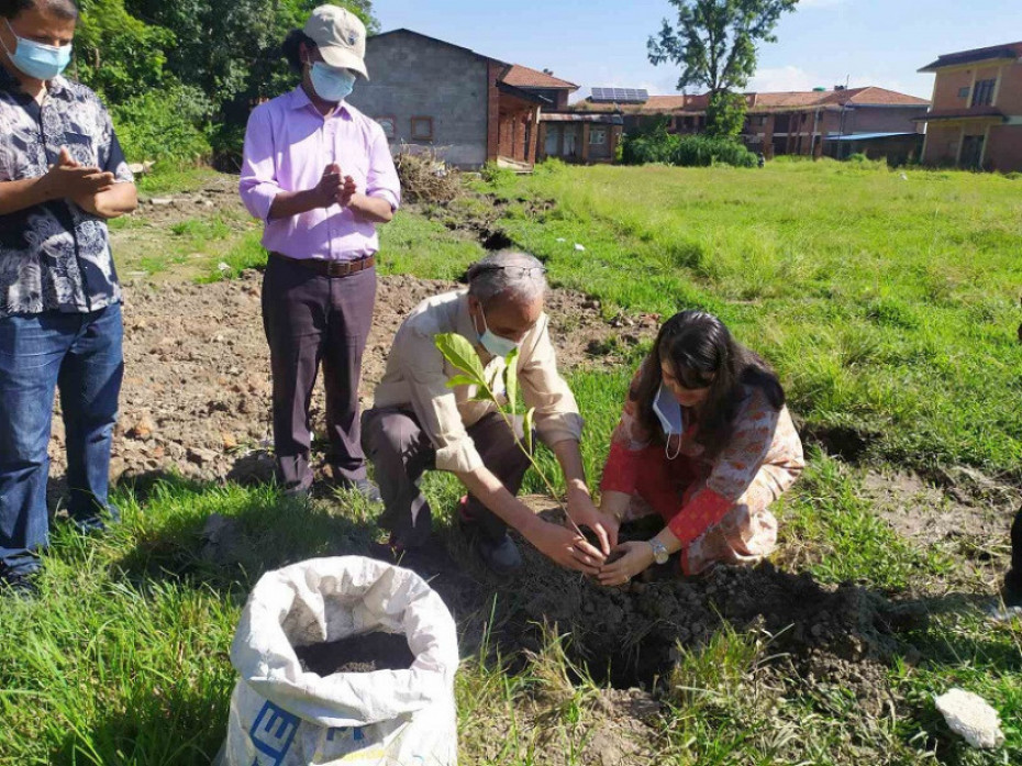 ग्लोबल आइएमई बैंक र त्रिभुवन विश्वविद्यालयको सहकार्यमा वृक्षरोपण