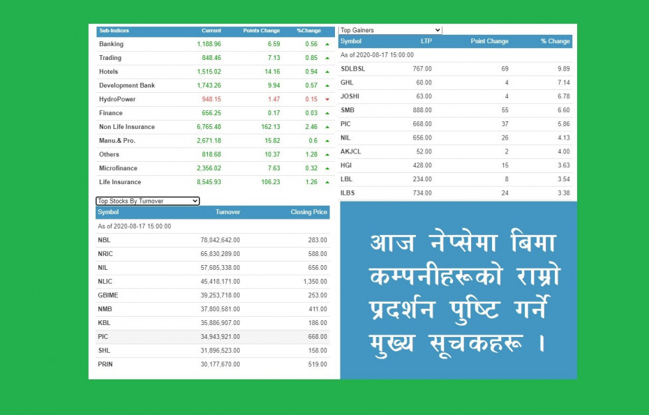 बिमा कम्पनीहरुको बाउन्सब्याक, दुवै समूहमा उछाल आउँदा नेप्सेमा सुधार
