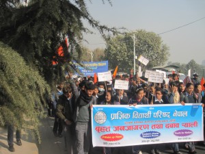 IMG_2371_Copy.JPG