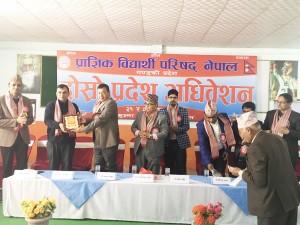 IMG_9887.JPG